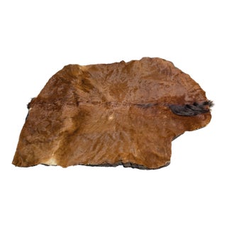 1800s Sleigh Lap Blanket For Sale