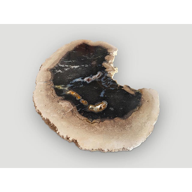 Beautiful contrasting colors on this stunning palm petrified wood slab. Rare grey, blue and white tones. Polished on both...
