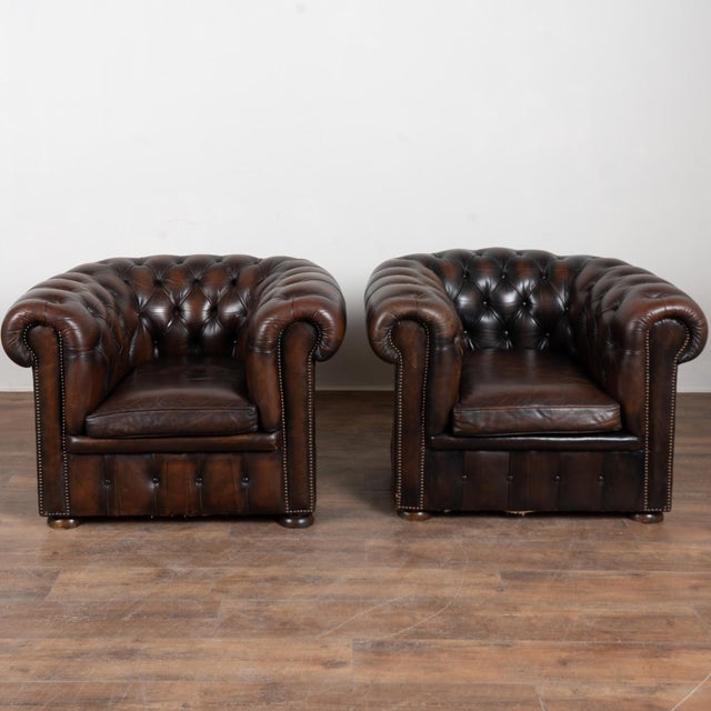 Pair, vintage brown leather chesterfield club arm chairs resting on bun feet. Upholstered in tight button-tufted dark...