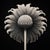 Contemporary Cotula Turbinata (Mayweed Flower) No. 3 — Black and White Vintage Botanical Photography Print For Sale - Image 3 of 3