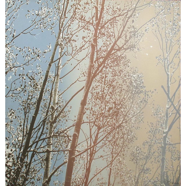 Paula Crane "Sky Banner II & III" Diptych Signed Fine Art Etchings 1980s For Sale - Image 10 of 11