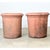 English Pair of Large 20th Century Terracotta Planters For Sale - Image 9 of 11