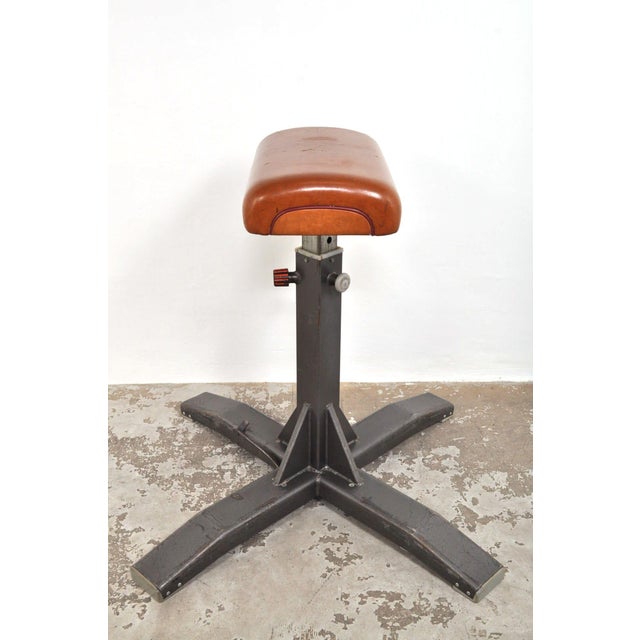 Vintage Leather Gymnastic Horse, 1950s For Sale - Image 11 of 13