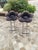 Stools Soshun attributed to Edra Designmasanori Umeda, 1990, Set of 2 For Sale - Image 10 of 10
