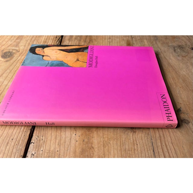 Bright Pink Modigliani Art Book by Douglas Hall – Phaidon Colour Library, Pink Cover For Sale - Image 8 of 10