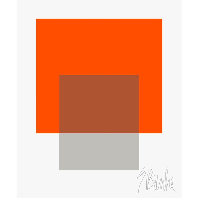 The Interaction of Orange and Gray Fine Art Print 20" X 24" by Liz Roache For Sale In Boston - Image 6 of 6