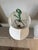 Early 20th Century Verdigris-Green Metal Table Lamp With Neoclassical Tripod Base For Sale - Image 12 of 14