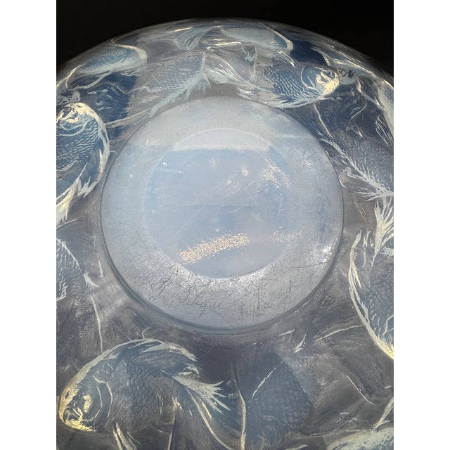 René Lalique Cyprins Cup from R. Lalique, 1921 For Sale - Image 4 of 11