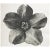 Contemporary 1935 Karl Blossfeldt Photogravure N63-64 For Sale - Image 3 of 10