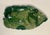 2007 Sabrina Gribneau Nedell Green Leaf Snail Ceramic Platter Studio Art Pottery For Sale - Image 4 of 9