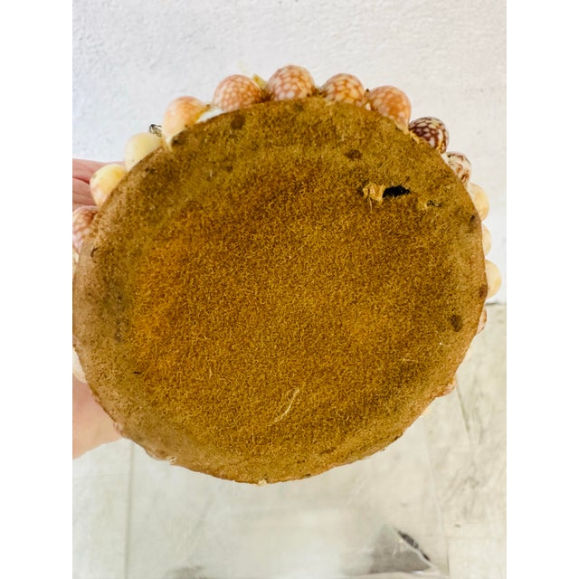 1950s Small Vintage Shell Lantern For Sale - Image 5 of 10