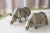 Early 20th Century Antique Continental Gray Porcelain Rhinoceros Figures - a Pair For Sale - Image 13 of 13