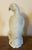Antique 18th Century Chinese Blanc De Chine White Porcelain Parrot For Sale - Image 11 of 18