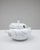 20th Century Belgian Special Edition Porcelain Tureen With Lid For Sale - Image 4 of 18