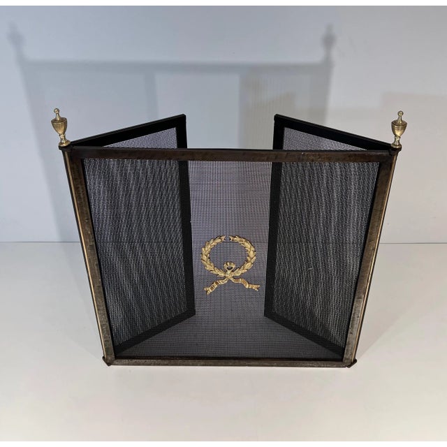 Fireplace Screen in Steel, Brass and Mesh in Neoclassical Style For Sale - Image 6 of 12