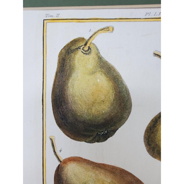 Printmaking Materials Vintage Hand Painted Botanical Lithograph Print Pears - Breant Sculp - L. B. Del - Matted For Sale - Image 7 of 13