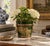 A wonderfully charming early 20th century French tole cachepot finished in an emerald green with delicate gilt...