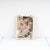 Bignami, Caricature Portrait, 1950s, Drawing on Paper For Sale - Image 5 of 5