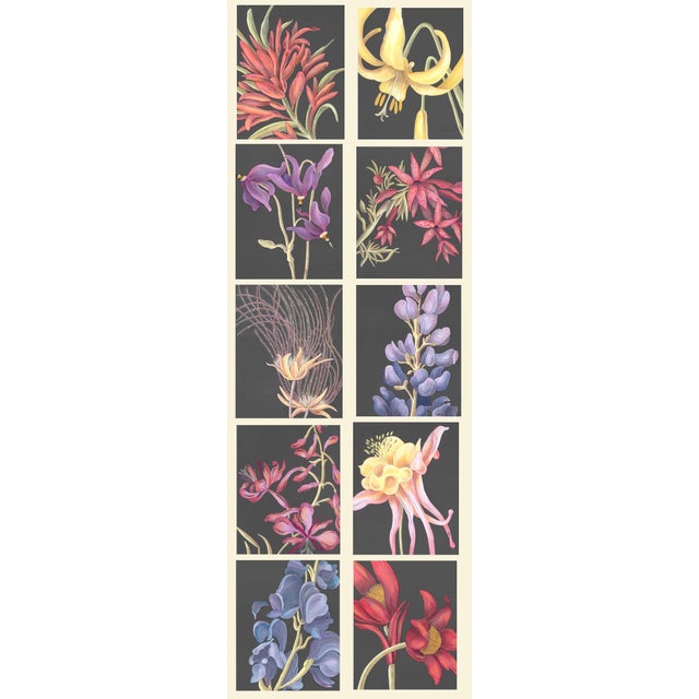 A graceful yellow pink Columbine flower blooms in a dynamic composition. This modern botanical painting by Allison Cosmos...