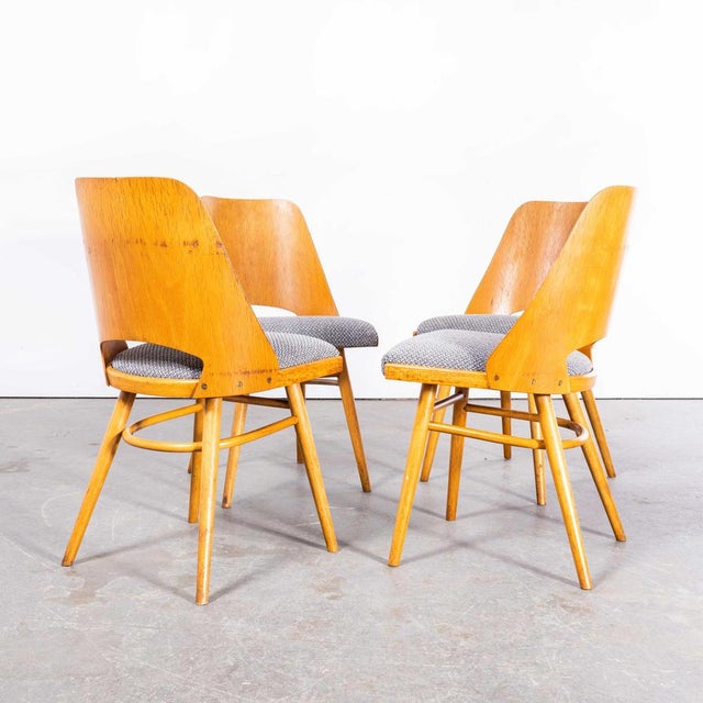 1950s Dining Chairs by Radomir Hoffman for Ton, 1950s, Set of 4 For Sale - Image 5 of 11