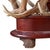 Vintage Fallow Deer Antler Hall Tree For Sale - Image 15 of 15
