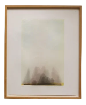 Tom Marioni, Process Landscape, 1998