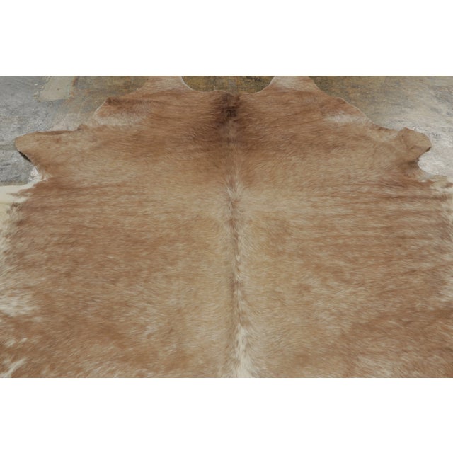 2020s Rug & Kilim’s Contemporary Cowhide Rug With Striking Beige & Brown Patterns For Sale - Image 5 of 9