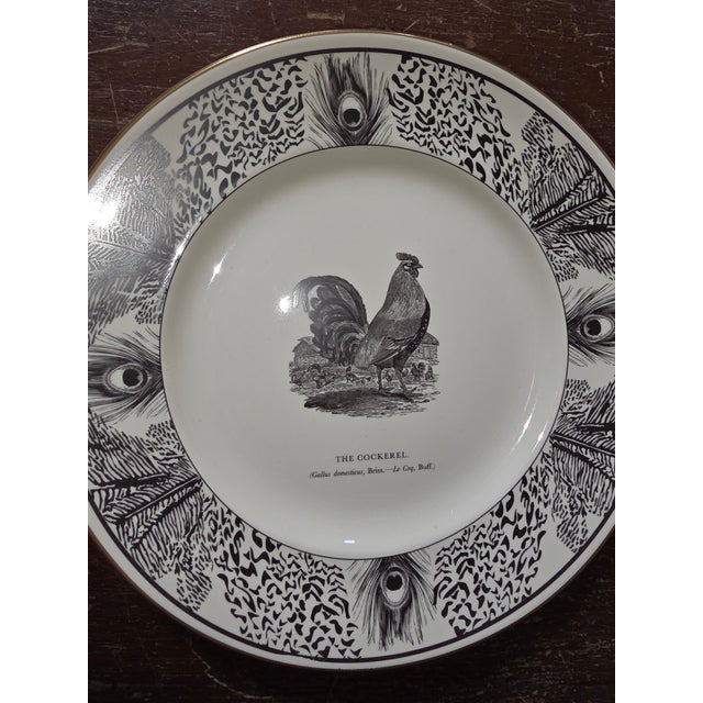 Ceramic Six Bewick Bird Plates by Prinknash Abbey Pottery For Sale - Image 7 of 12