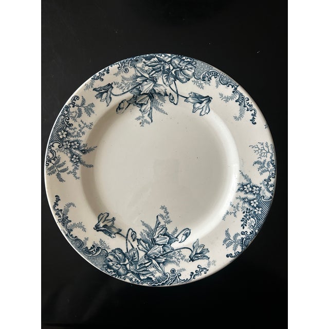 Terre De Fer Dinner Plates from Louis Graves, 1890s, Set of 13 For Sale - Image 6 of 13