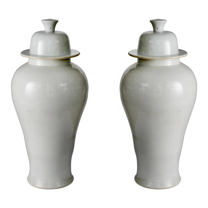 Pair of Large White Glazed Ceramic Temple Jars With Domed Lids | Chairish