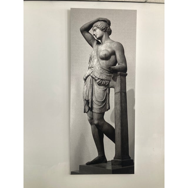 Modern William Gray Harris Photograph on Canvas “Wounded Amazon” For Sale - Image 3 of 8