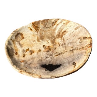 Small Trinket Dish in Beige Petrified Wood with Black Spots For Sale