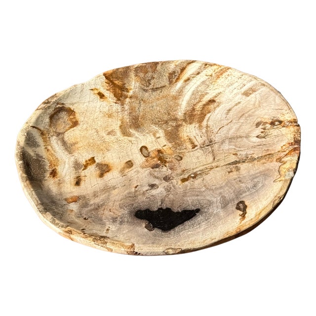 Small Trinket Dish in Beige Petrified Wood with Black Spots For Sale