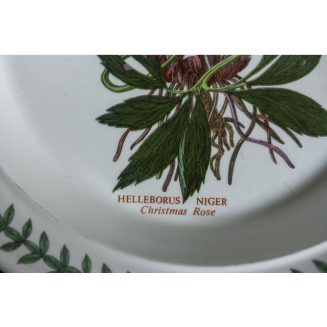 1980s 1980s Portmeirion Botanic Garden Dinner Plate Christmas Rose Helleborus Rosa For Sale - Image 5 of 6