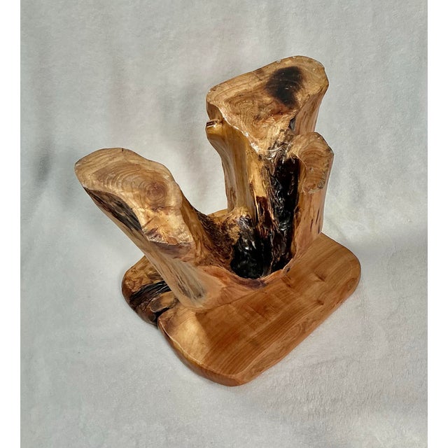 Birdseye Maple Natural Tree Stump Side Accent Table For Sale - Image 9 of 12