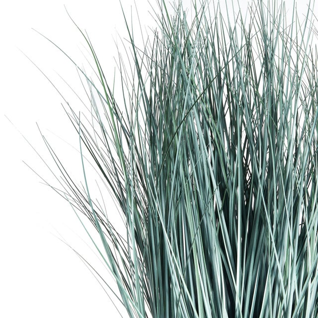 Realism Blue Oat Grass Drop-In 32" For Sale - Image 3 of 6