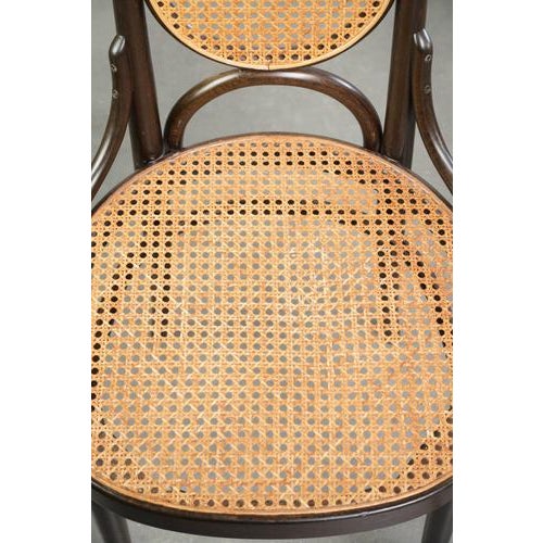 Brown Vintage Long John High Back Bentwood Chairs with Webbing Seats from Thonet, Set of 6 For Sale - Image 8 of 17