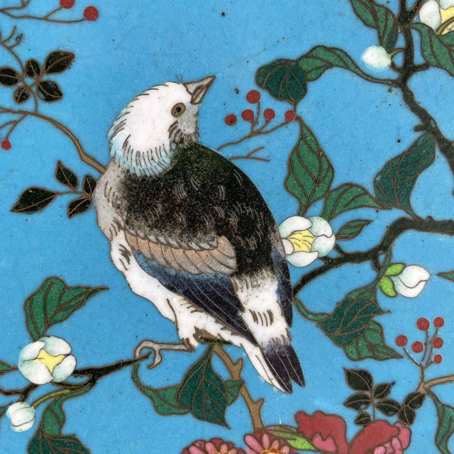 Meiji Japanese Cloisonne Plates, Set of 2 For Sale - Image 4 of 12
