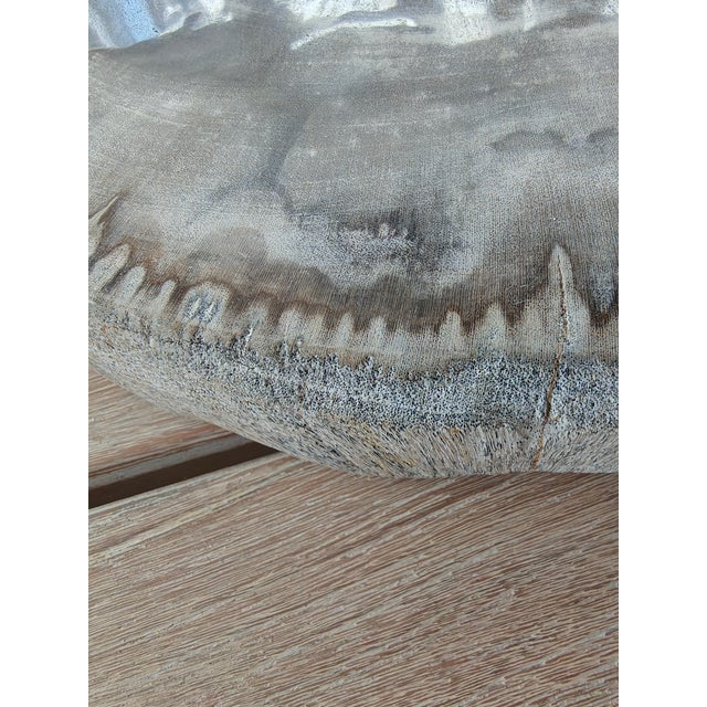 Wood Palecek Petrified Wood Slab For Sale - Image 7 of 11