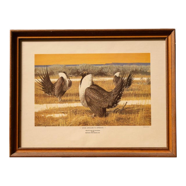 Remington Arms "Sage Grouse in Oregon" Game Art Collection Framed Litho For Sale