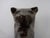 Large Ceramic Cat, Germany, 1960s For Sale - Image 16 of 18