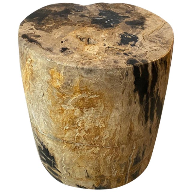 Stunning earth tones on this high quality petrified wood side table. It’s fascinating how Mother Nature produces these...
