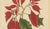 Berthe Hoola van Nooten, Poinsettia, 1880, Chromolithograph For Sale - Image 5 of 9