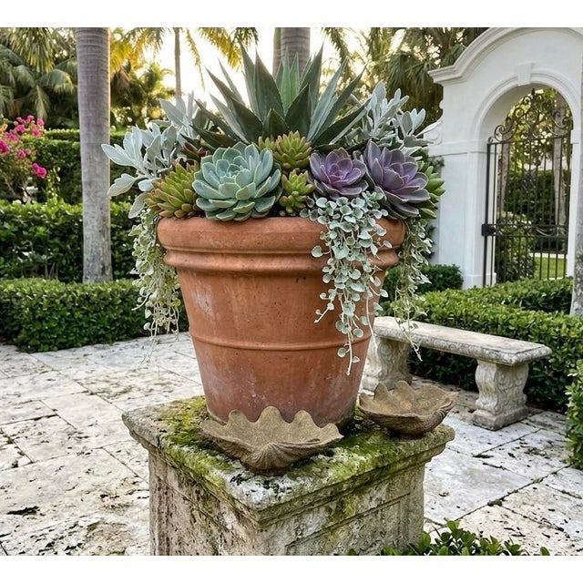 Pair of Vintage Cast Stone Faux Clam Shell Catchalls For Sale In West Palm - Image 6 of 9