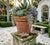 Pair of Vintage Cast Stone Faux Clam Shell Catchalls For Sale In West Palm - Image 6 of 9