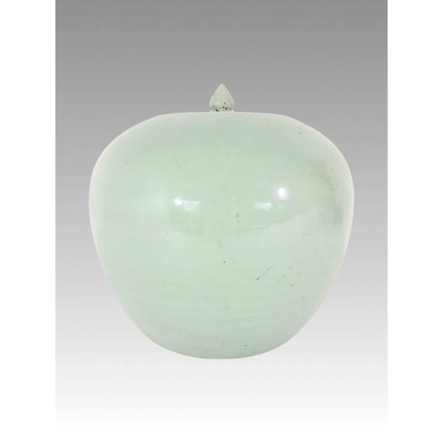 Antique Qing Dynasty Celadon Glazed Chinese Ginger Jar on Elegant Stylised Rosewood Stand, Blue and White For Sale - Image 4 of 12