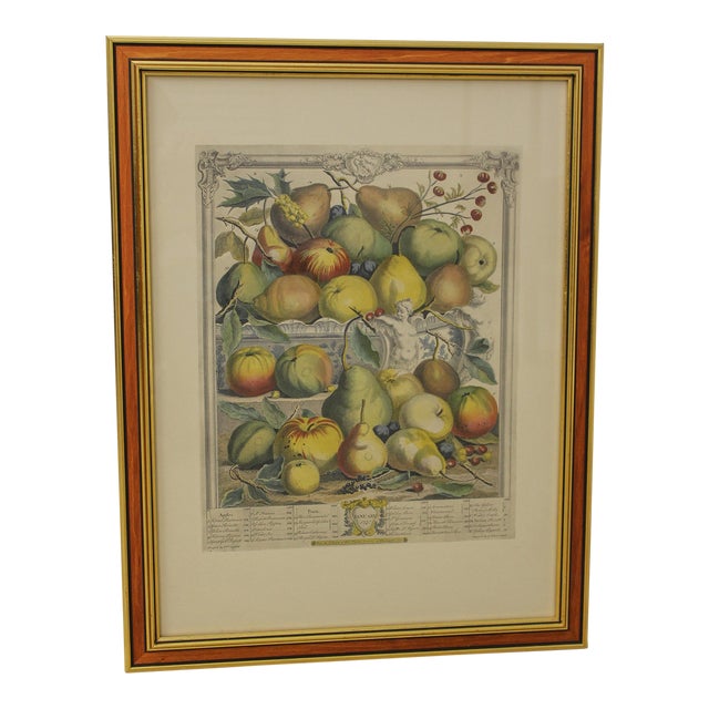 Colonial Williamsburg Dietz Press Botanical Print January Chairish