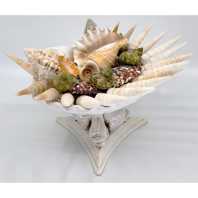 Modern Bowl Seashells Shells For Sale - Image 3 of 14