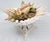 Modern Bowl Seashells Shells For Sale - Image 3 of 14