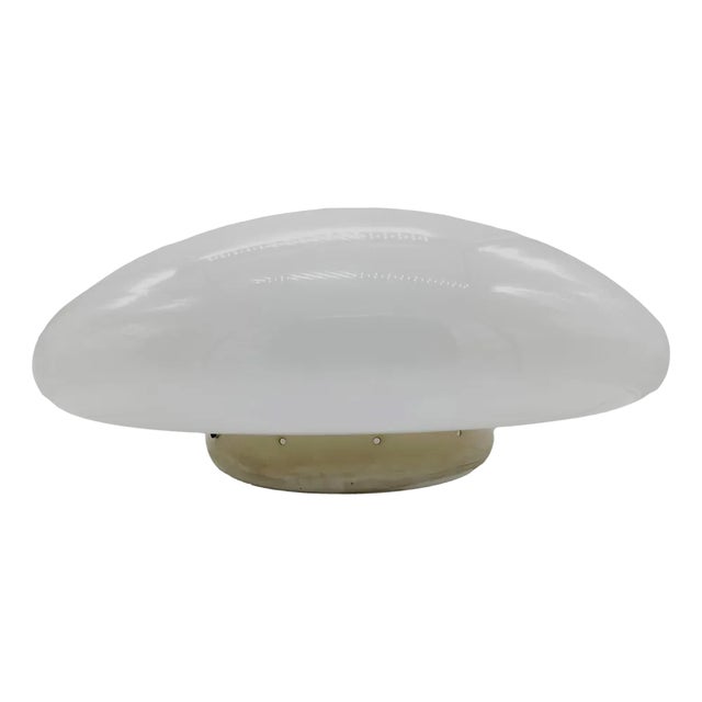 Vintage Italian Magnolia Table Lamp by Giuliana Gramigna, 1970s For Sale